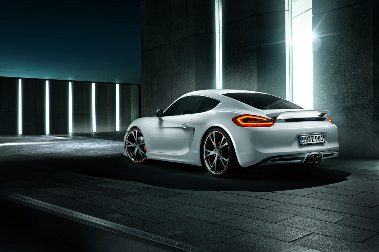 TECHART Rear Spoiler I for 981 Cayman / Boxster