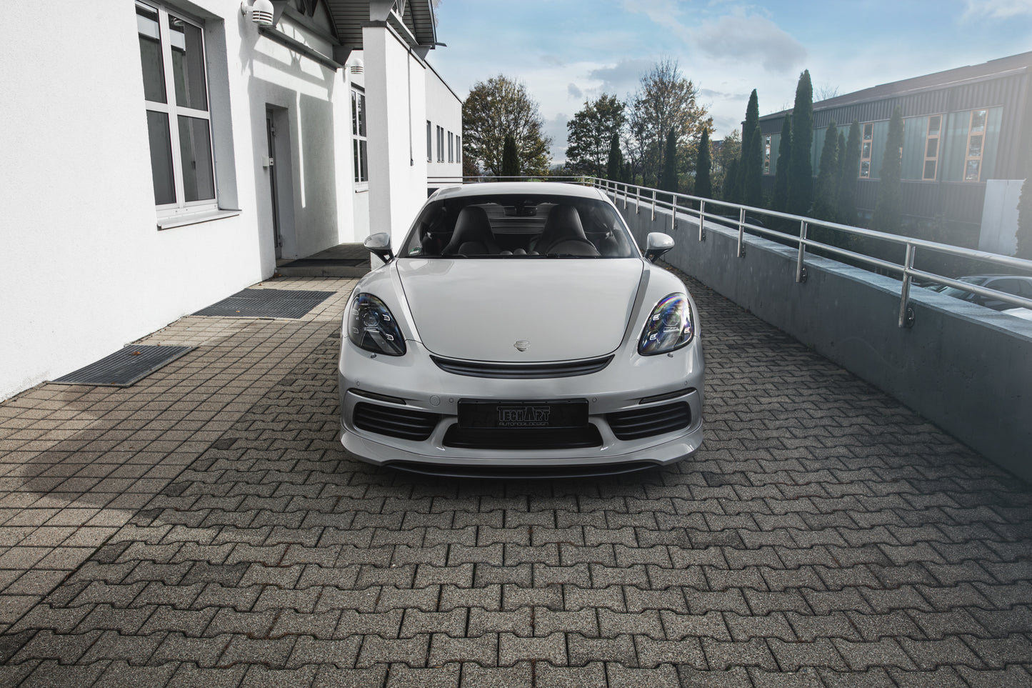 TECHART Air Outlet Grille for 991 / 718 / 981