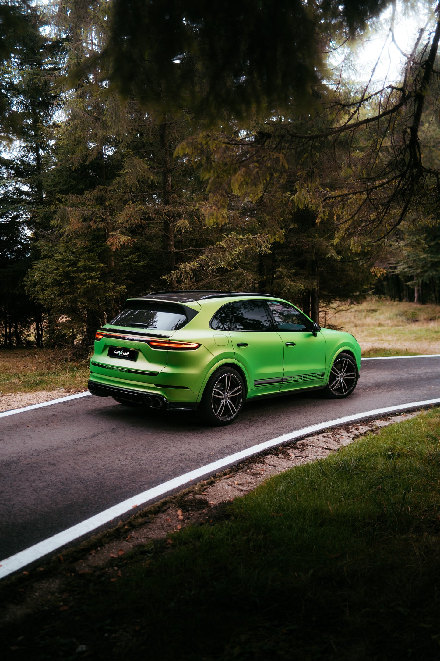 TECHART Rear Spoiler Panel for E3 (9YA) Cayenne