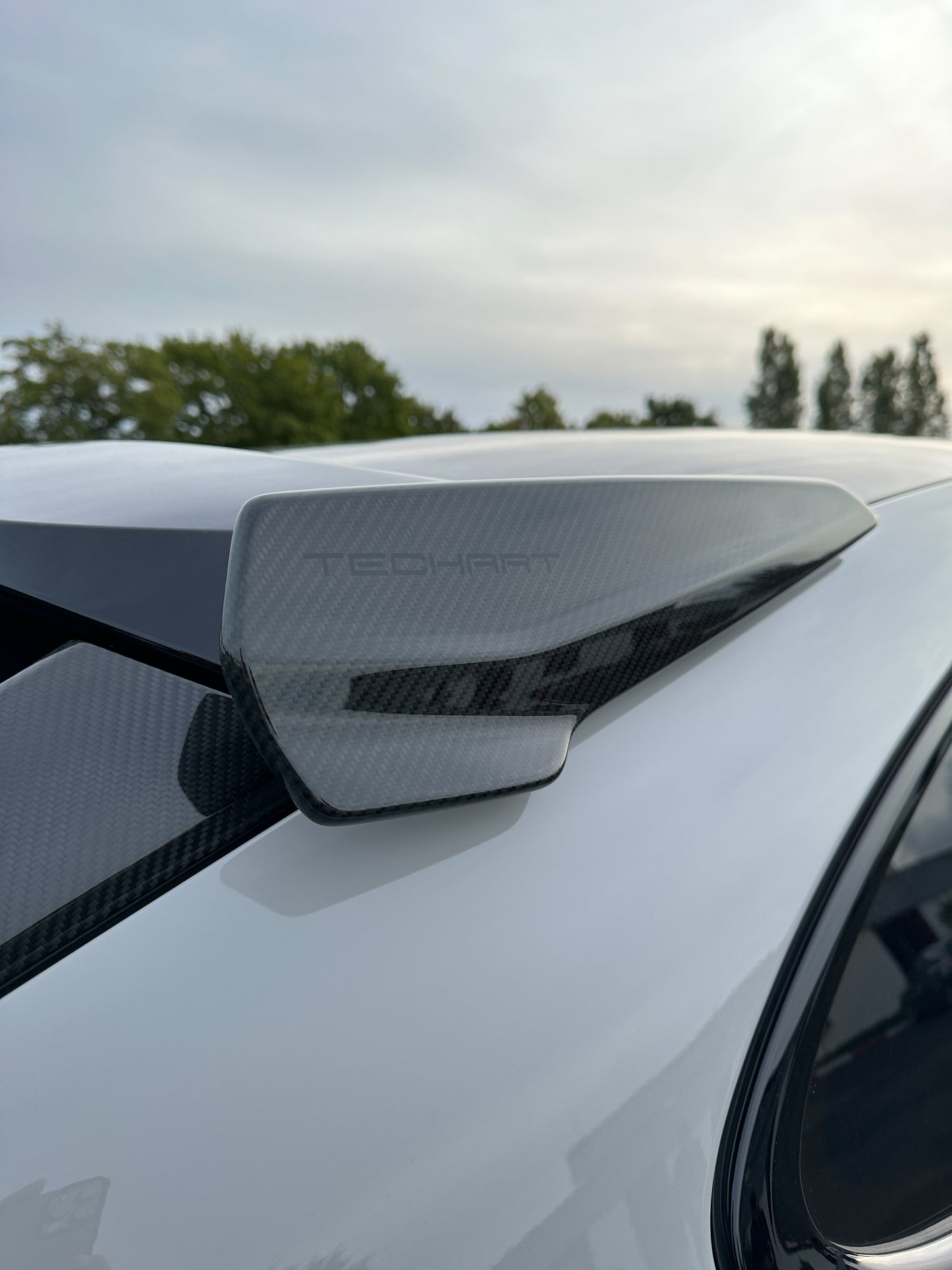 TECHART Roof Spoiler End Plates for 9YB (E3) Cayenne Coupe