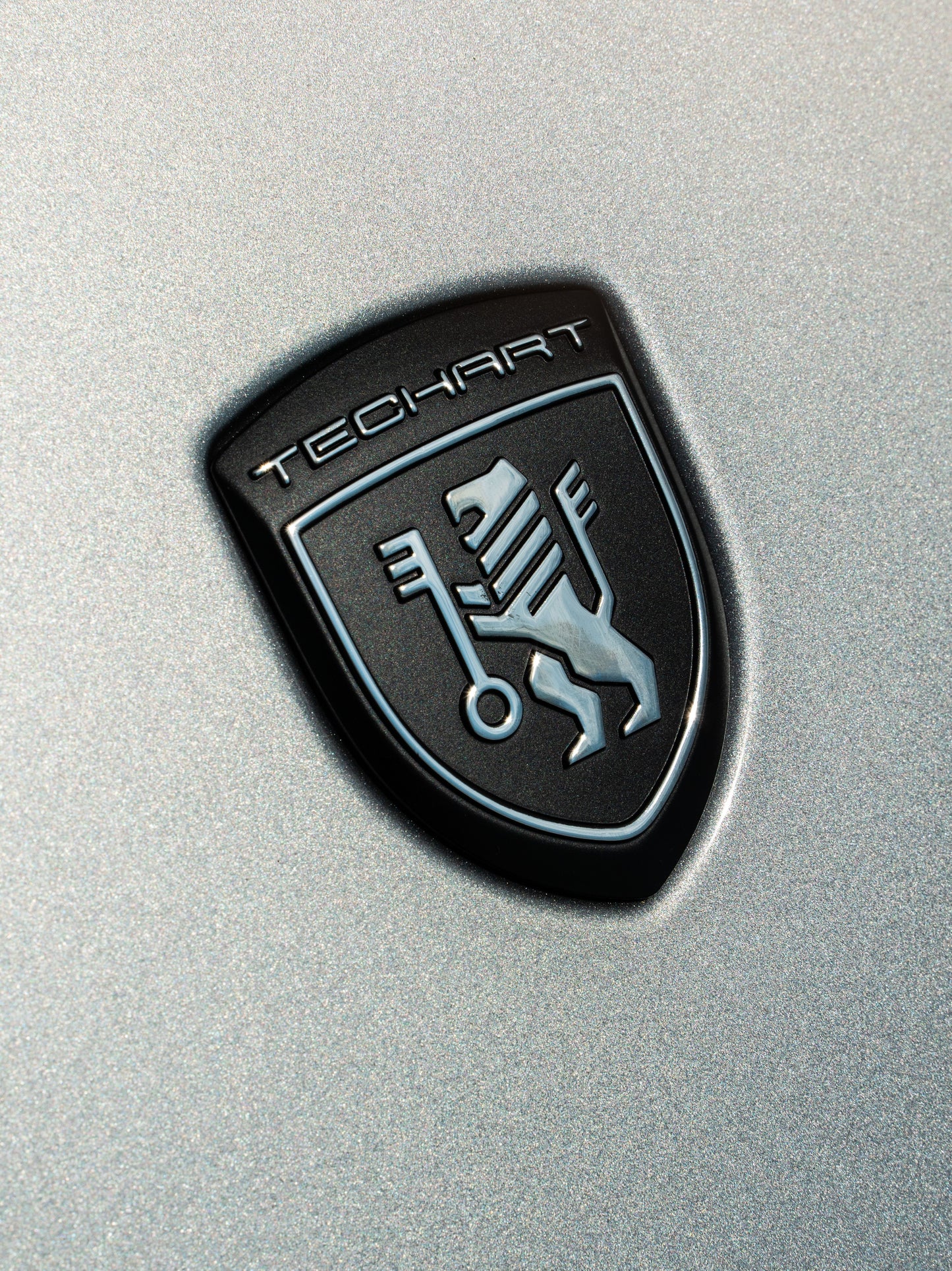 TECHART 2024 Hood Emblem for 992/991/981/982/971/9YA/9J1
