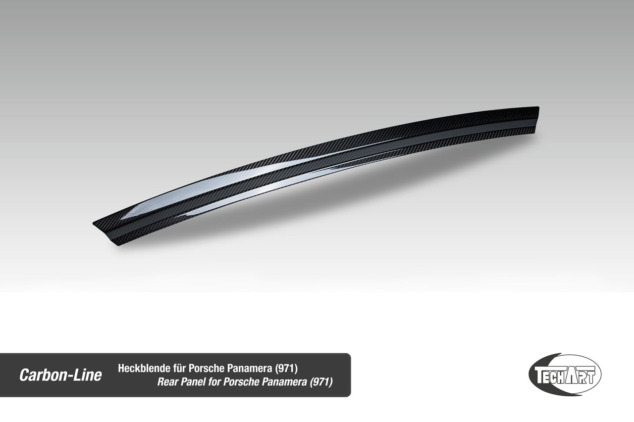 TECHART Rear Panel Carbon "matt" for 971.1 Panamera