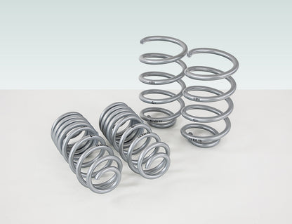 TECHART Lowering Springs for B95 Macan S / Turbo