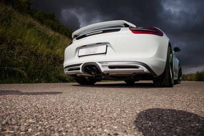 TECHART Rear Spoiler I for 981 Cayman / Boxster