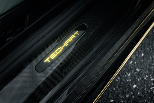 TECHART Carbon Door Entry Guards with Illuminated lettering for 992