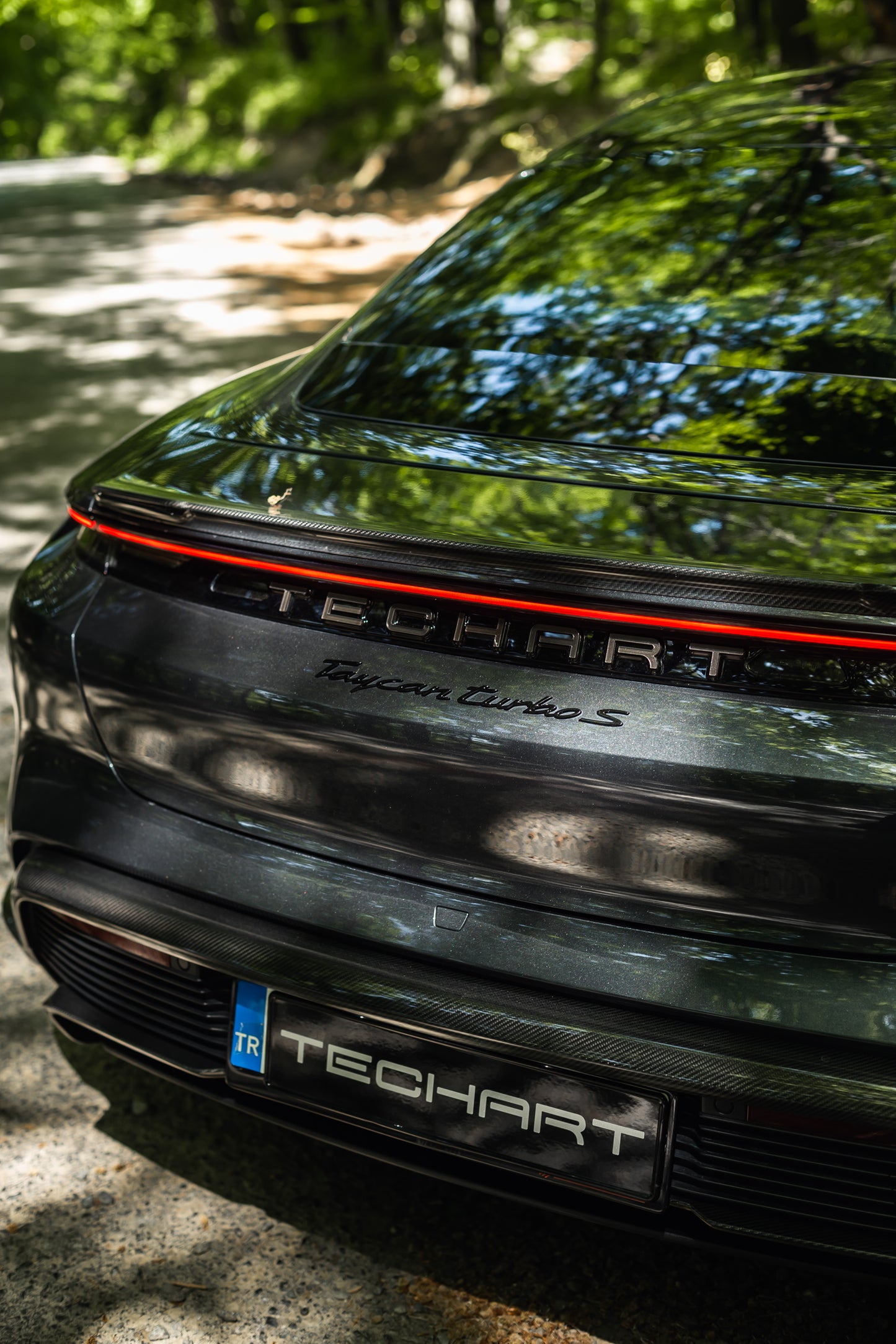 TECHART Carbon Rear Spoiler I for 9J1 Taycan