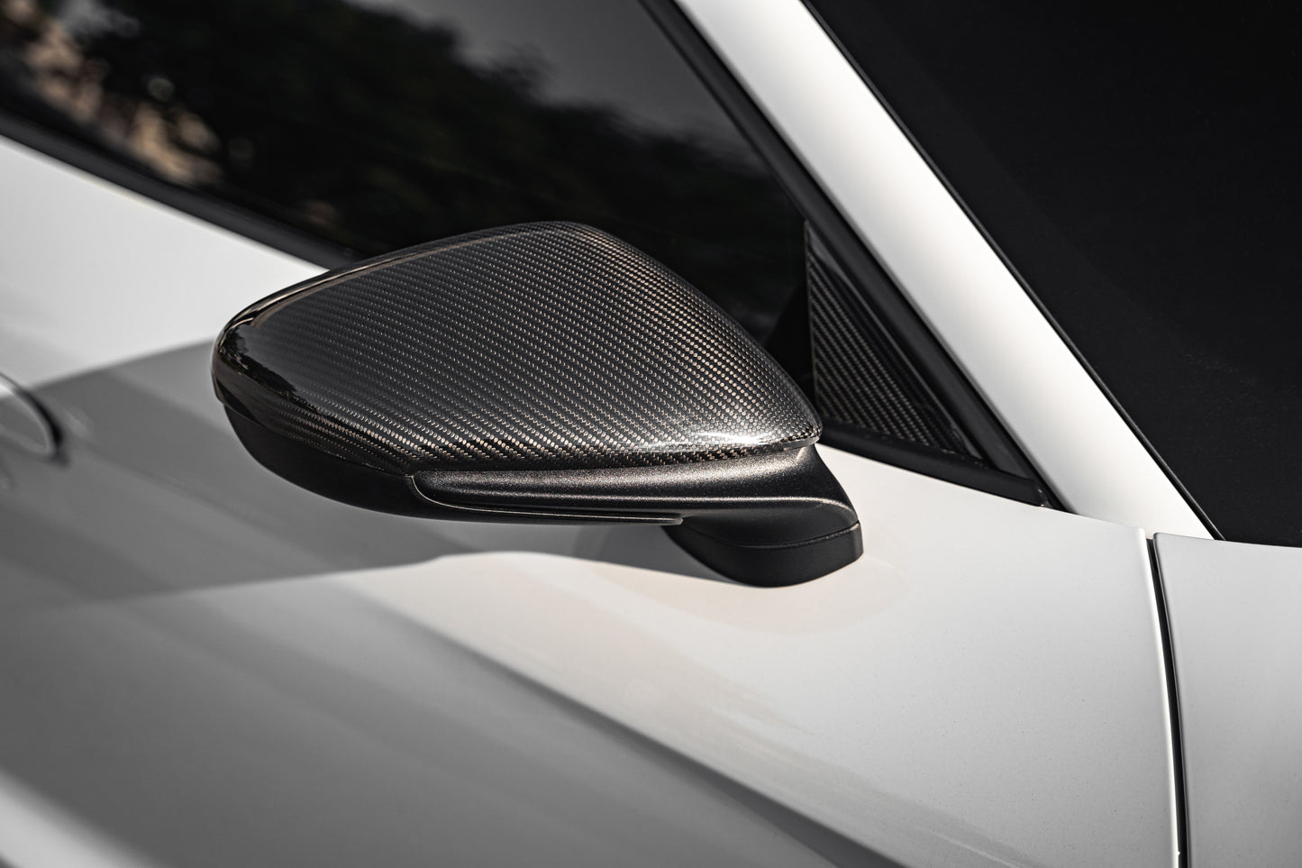 TECHART Carbon Side Mirror Trims for 9J1 Taycan