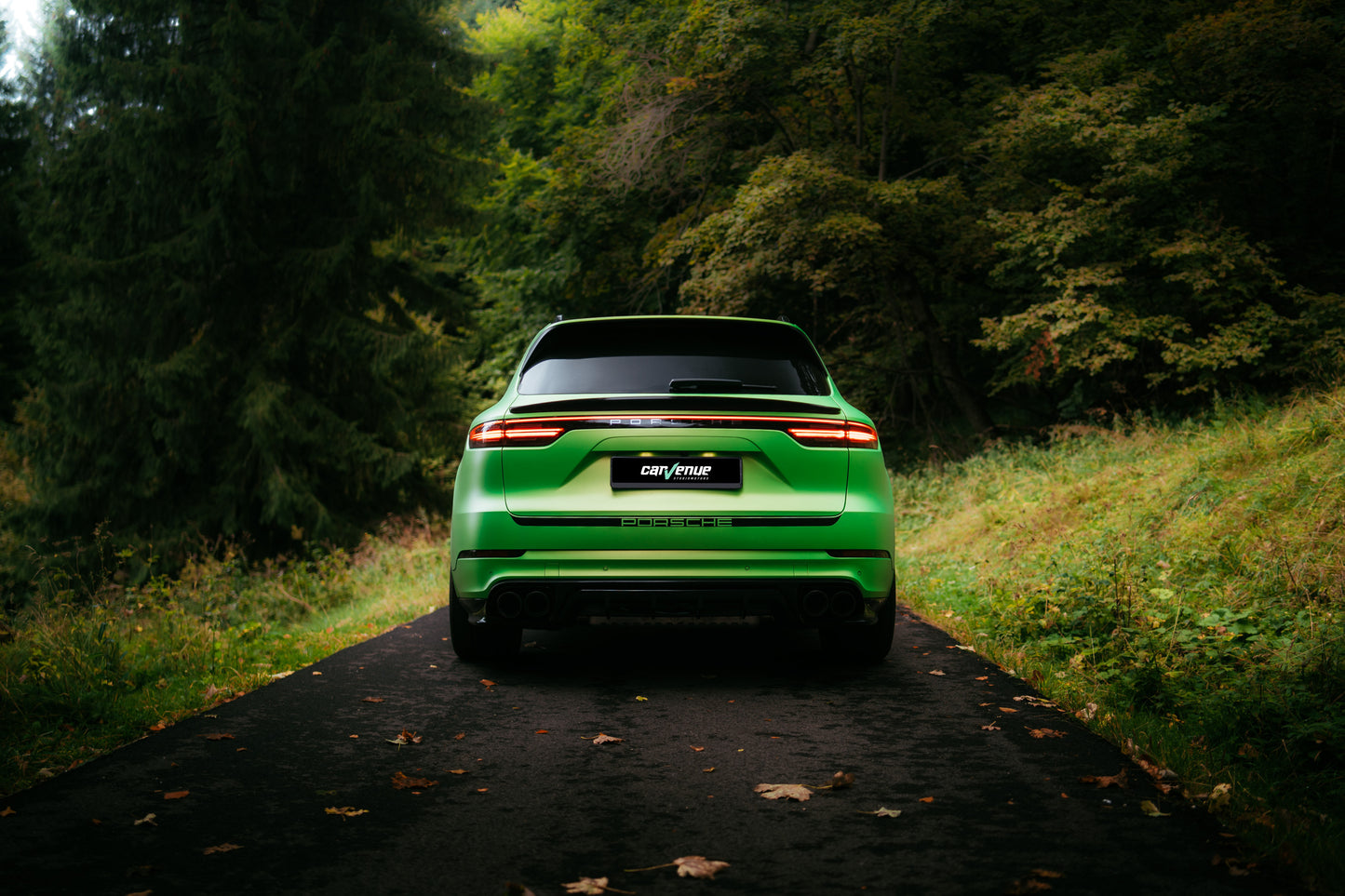 TECHART Rear Spoiler Panel for E3 (9YA) Cayenne
