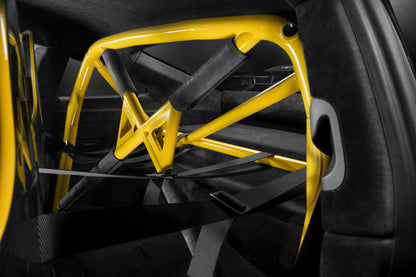 TECHART Roll Bar for 992