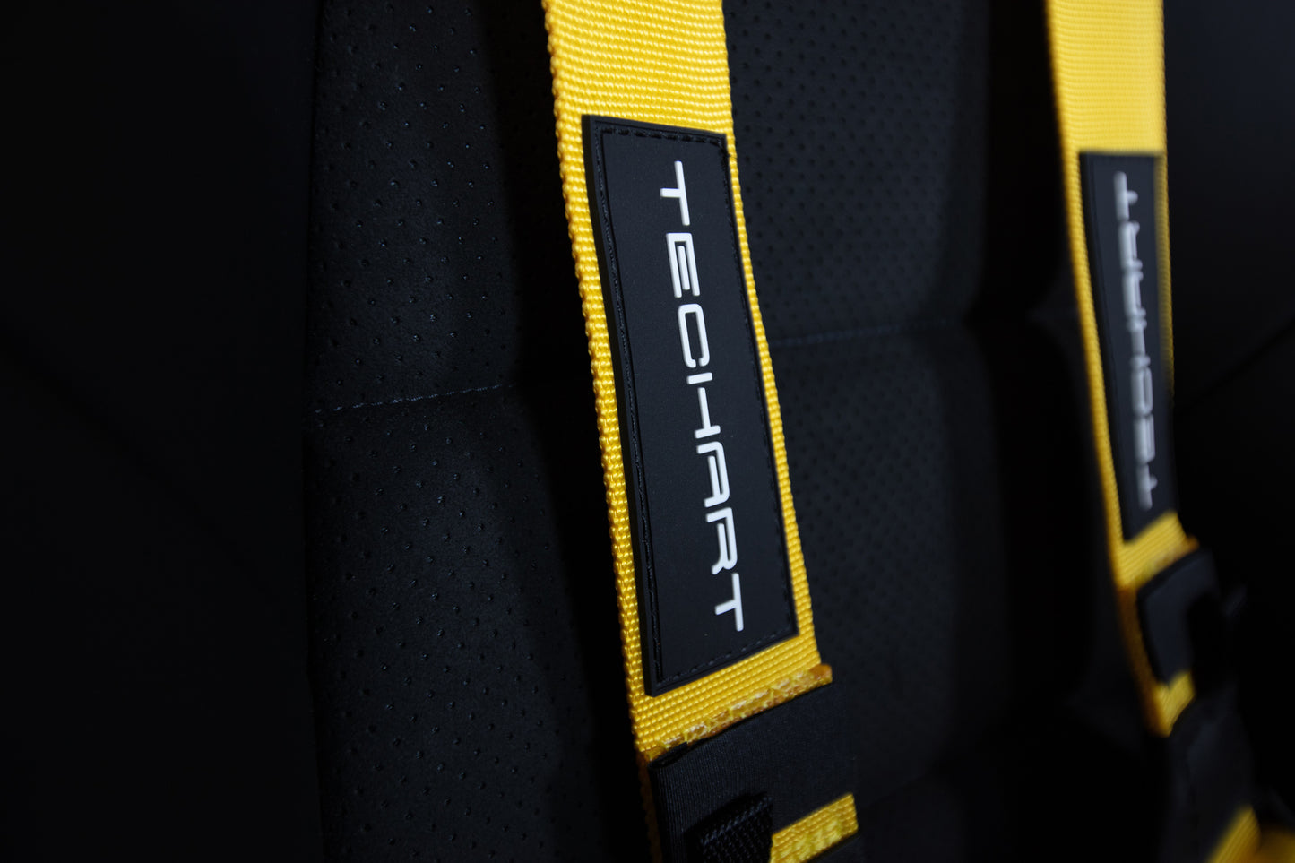 TECHART 6-Point Racing Harness for 992