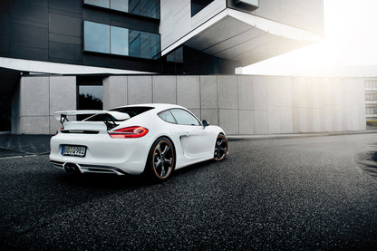 TECHART Rear Spoiler II for 981 Cayman