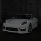 TECHART Headlight Trims for 970 Panamera starting MY14